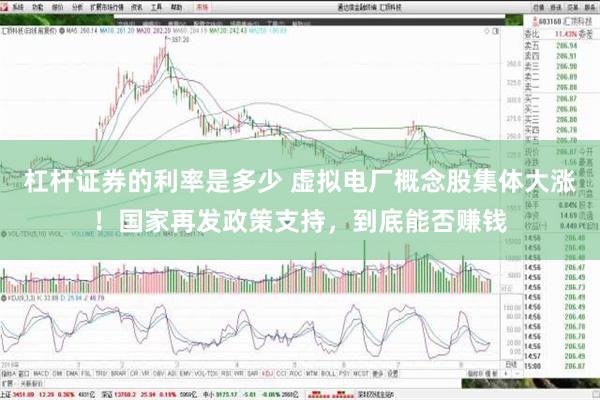 杠杆证券的利率是多少 虚拟电厂概念股集体大涨！国家再发政策支持，到底能否赚钱