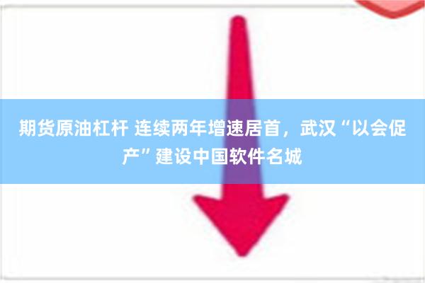 期货原油杠杆 连续两年增速居首，武汉“以会促产”建设中国软件名城