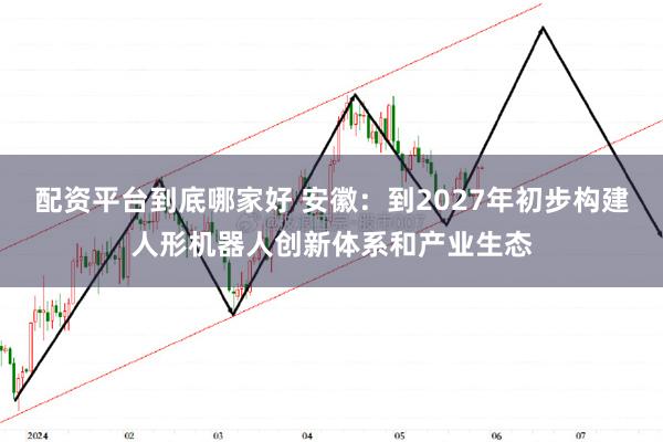 配资平台到底哪家好 安徽：到2027年初步构建人形机器人创新体系和产业生态