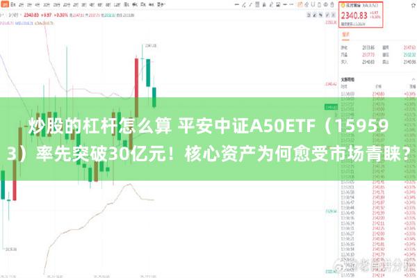 炒股的杠杆怎么算 平安中证A50ETF（159593）率先突破30亿元！核心资产为何愈受市场青睐？