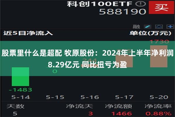 股票里什么是超配 牧原股份：2024年上半年净利润8.29亿元 同比扭亏为盈