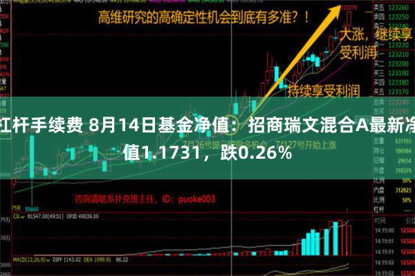 杠杆手续费 8月14日基金净值：招商瑞文混合A最新净值1.1731，跌0.26%