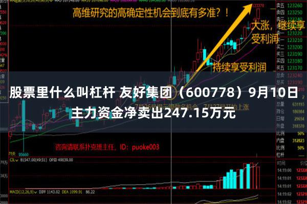 股票里什么叫杠杆 友好集团（600778）9月10日主力资金净卖出247.15万元