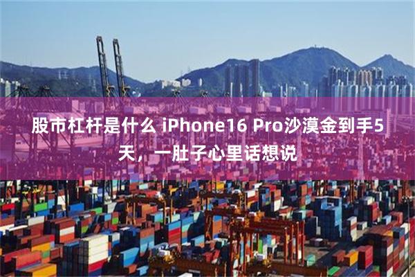 股市杠杆是什么 iPhone16 Pro沙漠金到手5天，一肚子心里话想说