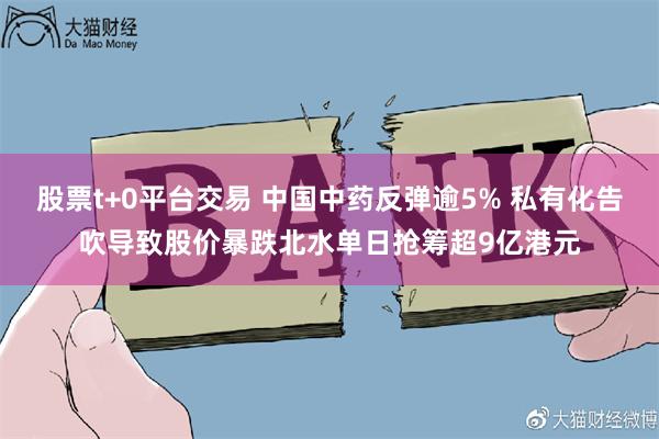 股票t+0平台交易 中国中药反弹逾5% 私有化告吹导致股价暴跌北水单日抢筹超9亿港元