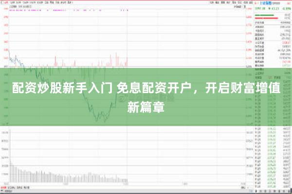 配资炒股新手入门 免息配资开户，开启财富增值新篇章