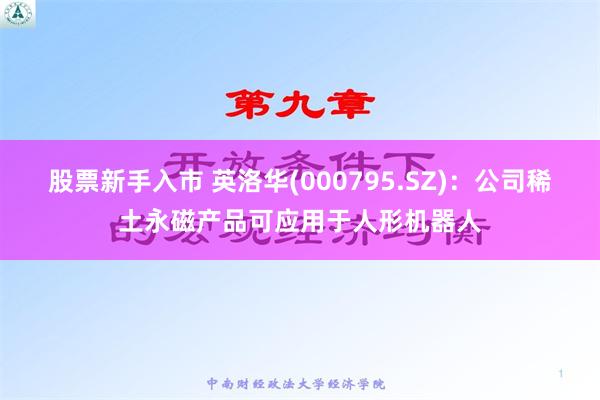 股票新手入市 英洛华(000795.SZ)：公司稀土永磁产品可应用于人形机器人