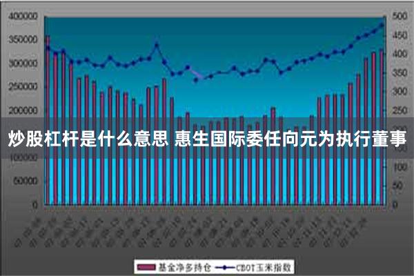 炒股杠杆是什么意思 惠生国际委任向元为执行董事