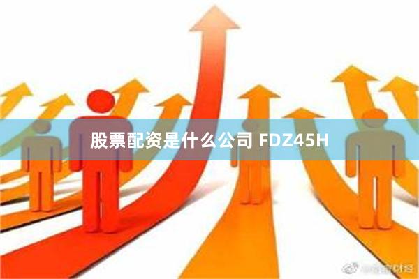 股票配资是什么公司 FDZ45H